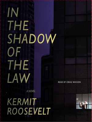 cover image of In the Shadow of the Law